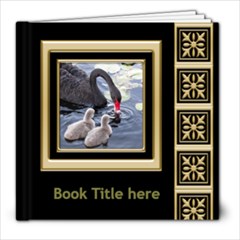 Black and Gold  8x8 Book (20 Pages) - 8x8 Photo Book (20 pages)