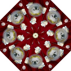Red Satin and White Rose Umbrella - Folding Umbrella