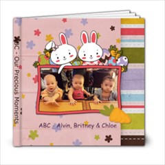 ABC - Our Precious Moments - 6x6 Photo Book (20 pages)