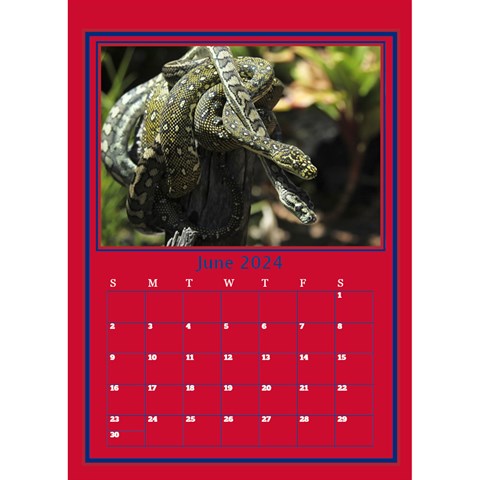 A Little Perfect Desktop Calendar By Deborah Jun 2024