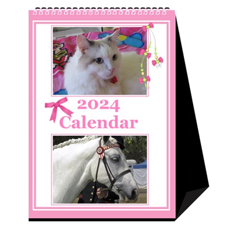 Princess Pink Desktop Calendar By Deborah Cover