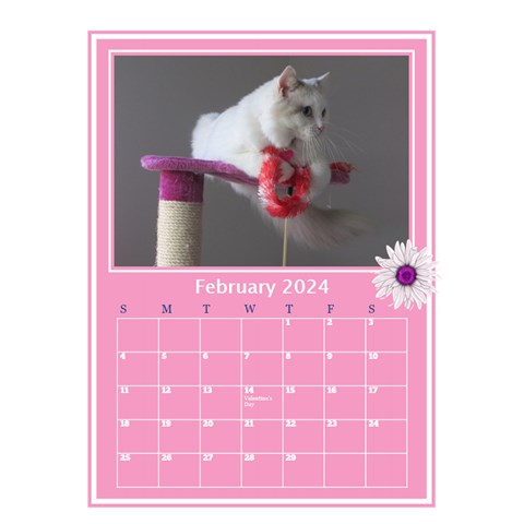 Princess Pink Desktop Calendar By Deborah Feb 2024