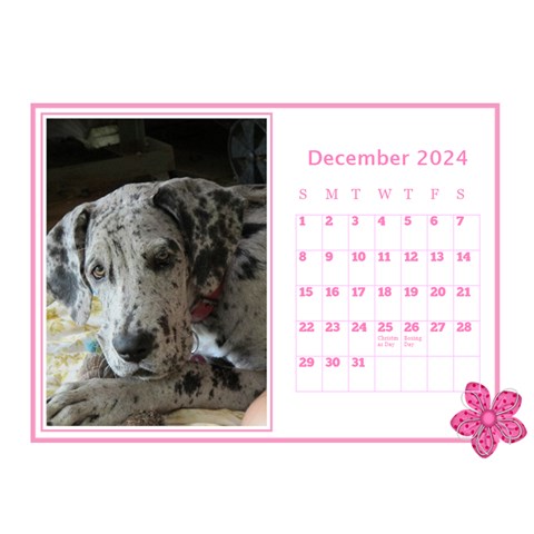 Pink Princess Desktop Calendar (8 5x6) By Deborah Dec 2024