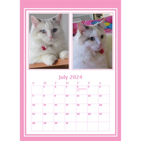 Pink Princess Desktop Calendar By Deborah Jul 2024