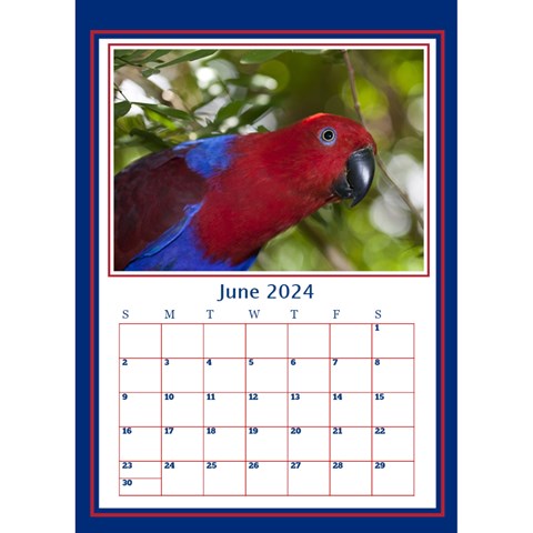Photograph  Calendar By Deborah Jun 2024