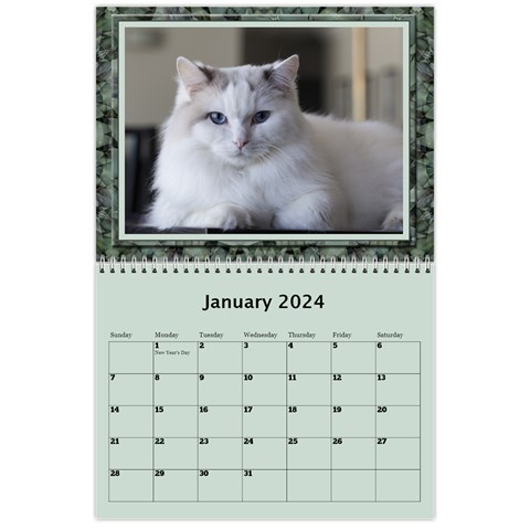 Green Frame Male 2024 Calendar (any Year) By Deborah Jan 2024