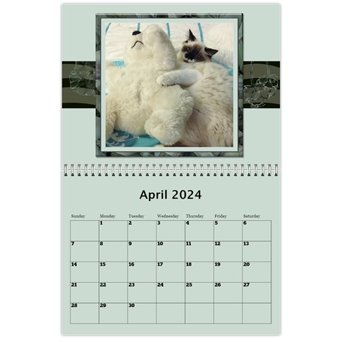 Green Frame Male 2024 Calendar (any Year) By Deborah Apr 2024