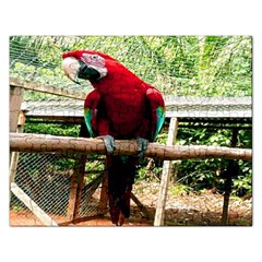 Red MaCaw Parrot Puzzle - Jigsaw Puzzle (Rectangular)