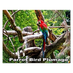 Parrot Bird Plumage  Puzzle - Jigsaw Puzzle (Rectangular)