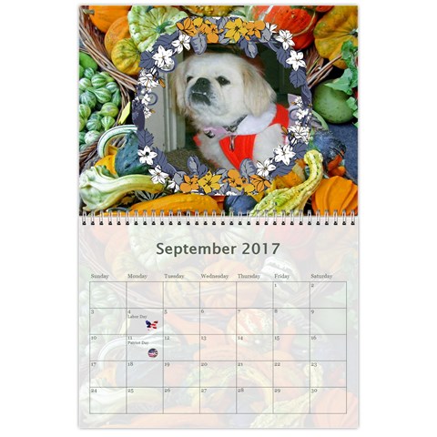 2017 Any Occassion Calendar By Kim Blair Sep 2017