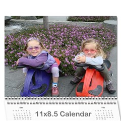 2024 Calander 1 - Wall Calendar 11  x 8.5  (12-Months)