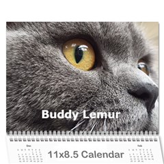 Buddy Calendar 2019v2 - Wall Calendar 11  x 8.5  (18 Months)