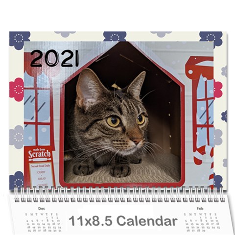 2021 Calendar By Dacian Reece Cover