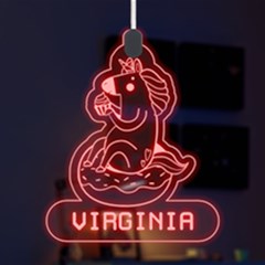 Personalized Unicorn Name - LED Acrylic Ornament