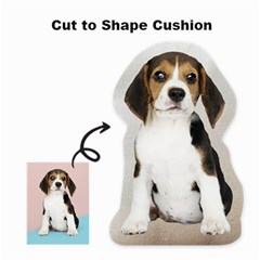Cut to Shape Cushion 02
