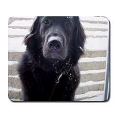 Snowy Dog - Collage Mousepad