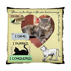 Feline Friends Pillow - Standard Cushion Case (One Side)