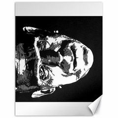 24x18 Frankenstein Canvas - Canvas 18  x 24 