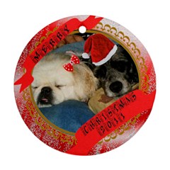 Trucker and Prissy Christmas 2011 - Ornament (Round)