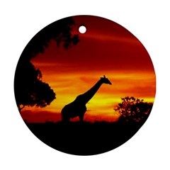 giraffe - Ornament (Round)