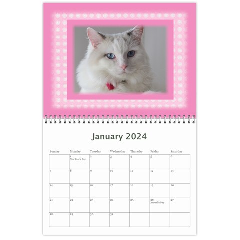 Pretty In Pink 2024 (any Year) Calendar By Deborah Jan 2024