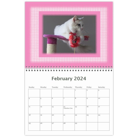 Pretty In Pink 2024 (any Year) Calendar By Deborah Feb 2024