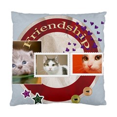 Friendship - Standard Cushion Case (Two Sides)