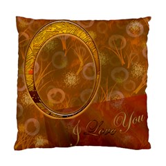 Love gold24 Double Sided Cushion Case - Standard Cushion Case (Two Sides)