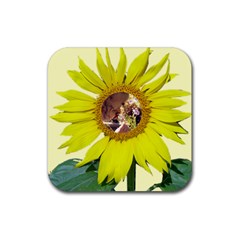Sunflower Coaster - Rubber Coaster (Square)