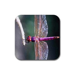 Dragonfly Coaster - Rubber Coaster (Square)