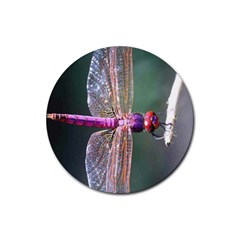 Dragonfly Coaster 2 - Rubber Coaster (Round)