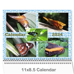 Sunny Days Wall Calendar - Wall Calendar 11  x 8.5  (12-Months)