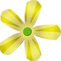 MLLD_yellow flower