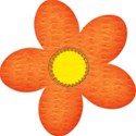 FlowerOrange