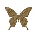 jennyL_cherished_butterfly