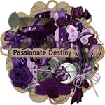 Passionate Destiny