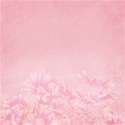 DS_SC_Paper Pink_Floral