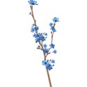moo_rapunzal_blossombranch