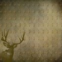 deer paper2