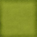 MLIVA_SOLID2-green