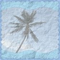 Beach Papers - 05
