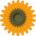 BOS SH sunflower01