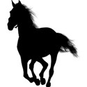 EOT_silhouette_horse