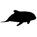EOT_silhouette_whale