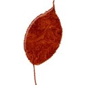 MLIVA_UBI-ah-leaf1
