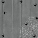 Gray Spider Paper
