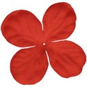 flower 2 red
