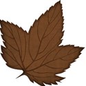 jss_happyfallyall_leaf 1 brown