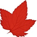 jss_happyfallyall_leaf 1 red