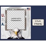U.S.A Frame